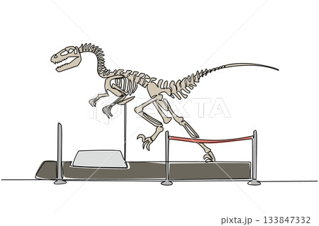 Single one line drawing velociraptor dinosaur skeleton in museum room. Telling about wild animals in the past. Learning tools. International Museum Day. Continuous line design graphic illustration 133847332