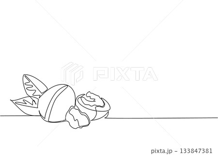 Continuous one line drawing whole walnut, half opened, just the kernel, leaves. Ideal weight maintaining snack for those who consume. National Walnut Day. Single line draw design vector illustration 133847381