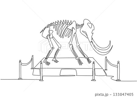 Single one line drawing mammoth bird dinosaur skeleton in museum room. Museum for learning. The origin of extinction. Dangerous. International Museum Day. Continuous line design graphic illustration Single one line drawing mammoth bird dinosaur skeleton in museum room. Museum for learning. The origin of extinction. Dangerous. International Museum Day. Continuous line design graphic illustration 133847405