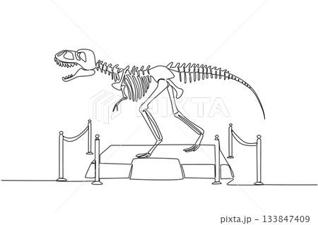 Single continuous line drawing T Rex dinosaur skeleton in museum room. Museum for learning. Get to know ancient animals. Dangerous animal. International Museum Day. One line design vector illustration 133847409