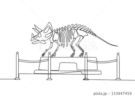 Single continuous line drawing triceratops dinosaur skeleton in museum room. Museum for learning. Studying the anatomy of bones. Extinct. International Museum Day. One line design vector illustration 133847459