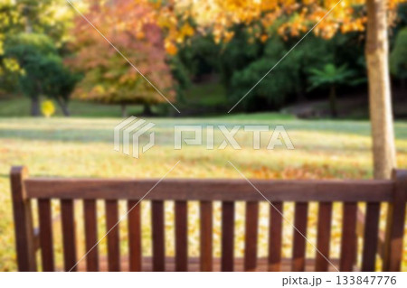 Empty bench against trees 133847776