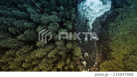 Aerial view showing conifer forest left rocky stream forming waterfall mossy slope right flat style Aerial view showing conifer forest left rocky stream forming waterfall mossy slope right flat style 133847866