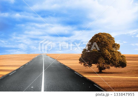 Cloudy brown landscape with street Cloudy brown landscape with street 133847955