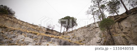Vector illustration is showing steep limestone cliff with dry grass and pine trees under cloudy sky 133848058