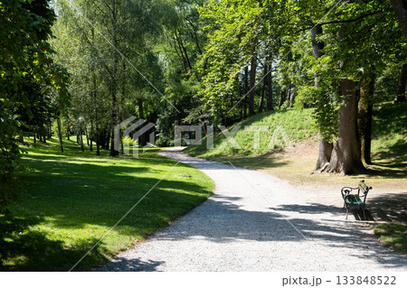 Tranquil park with a winding gravel path surrounded by lush green trees and a solitary bench. Peaceful nature scene bathed in warm sunlight 133848522