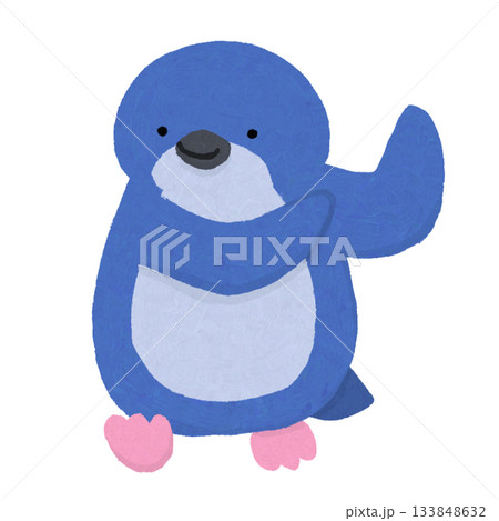 ペンギンのイラスト(コビトペンギン) ペンギンのイラスト(コビトペンギン) 133848632