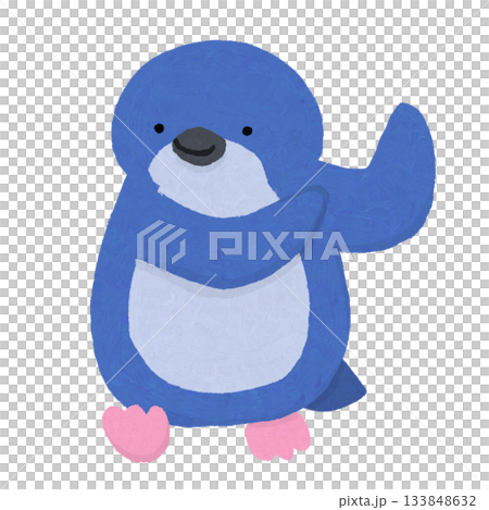 ペンギンのイラスト(コビトペンギン) ペンギンのイラスト(コビトペンギン) 133848632