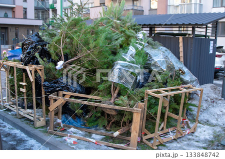 Recycling Christmas trees after Christmas. Dumping trees near trash cans on the street. 133848742