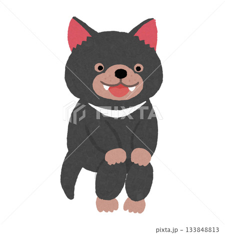 お行儀よく座る笑顔のタスマニアデビル 133848813