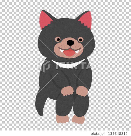 お行儀よく座る笑顔のタスマニアデビル 133848813