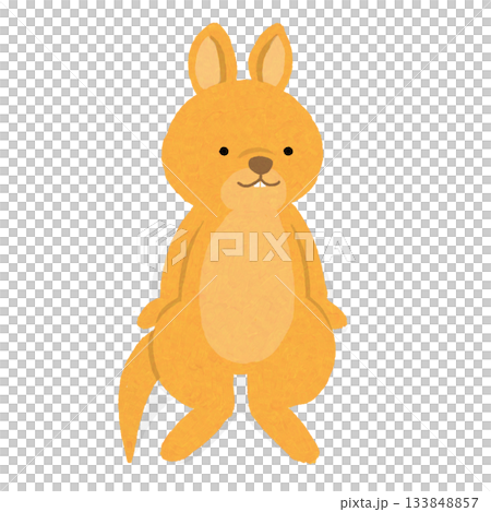 Sitting orange wallaby (kangaroo) 133848857