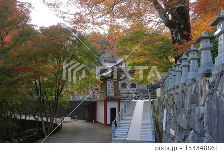 四国霊場第66番札所「雲辺寺」水堂と本堂付近の紅葉 133848861
