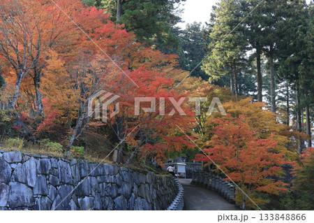 四国霊場第66番札所「雲辺寺」山門前の広場から見るロープウェイ乗り場へ向かう道付近の紅葉 四国霊場第66番札所「雲辺寺」山門前の広場から見るロープウェイ乗り場へ向かう道付近の紅葉 133848866