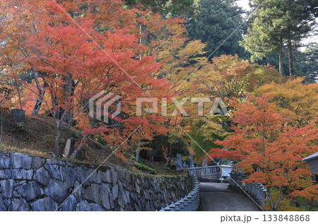 四国霊場第66番札所「雲辺寺」山門前の広場から見るロープウェイ乗り場へ向かう道付近の紅葉 四国霊場第66番札所「雲辺寺」山門前の広場から見るロープウェイ乗り場へ向かう道付近の紅葉 133848868