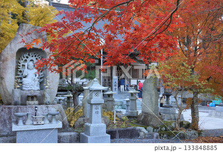 四国霊場第66番札所「雲辺寺」大師堂付近の紅葉 133848885