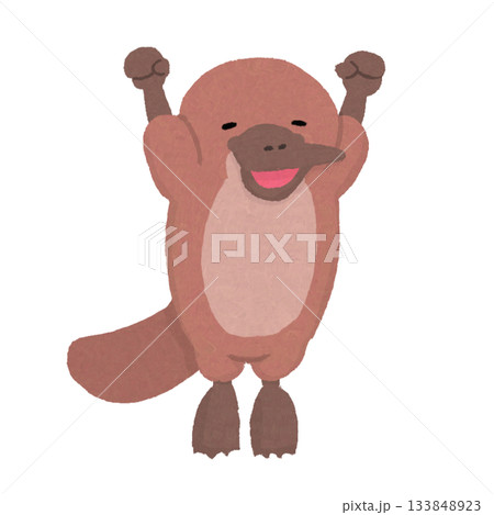 伸びをする笑顔のカモノハシ 133848923