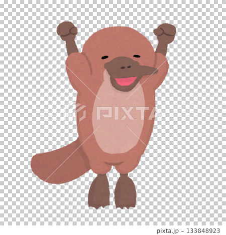 伸びをする笑顔のカモノハシ 133848923