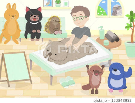 マッサージを受けるウォンバットと、動物たち(タスマニアデビル、ハリモグラ、ワラビー、カモノハシ) マッサージを受けるウォンバットと、動物たち(タスマニアデビル、ハリモグラ、ワラビー、カモノハシ) 133848952