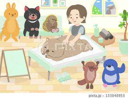 マッサージを受けるウォンバットと、動物たち（タスマニアデビル、ハリモグラ、ワラビー、カモノハシ） 133848953