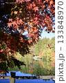 紅葉したもみじ 133848970