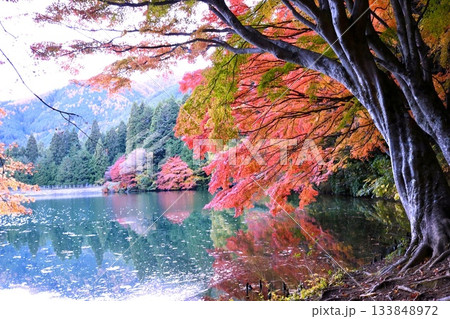 水面に映る紅葉 水面に映る紅葉 133848972