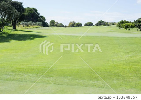 Golf course fairway is extending into distance in flat design, showing grass and trees Golf course fairway is extending into distance in flat design, showing grass and trees 133849357