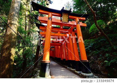 京都府　伏見稲荷大社　千本鳥居（月日之宮本宮付近） 京都市伏見区深草藪之内町　2022 年 2月 133849874