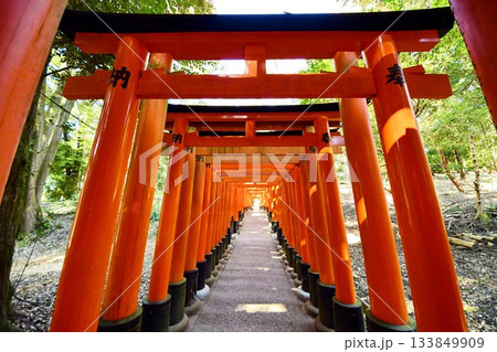 京都府 伏見稲荷大社 千本鳥居(月日之宮本宮付近) 京都市伏見区深草藪之内町 2022 年 2月 京都府 伏見稲荷大社 千本鳥居(月日之宮本宮付近) 京都市伏見区深草藪之内町 2022 年 2月 133849909