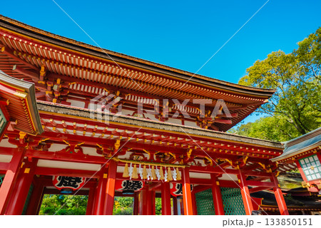 【福岡】太宰府天満宮 【福岡】太宰府天満宮 133850151