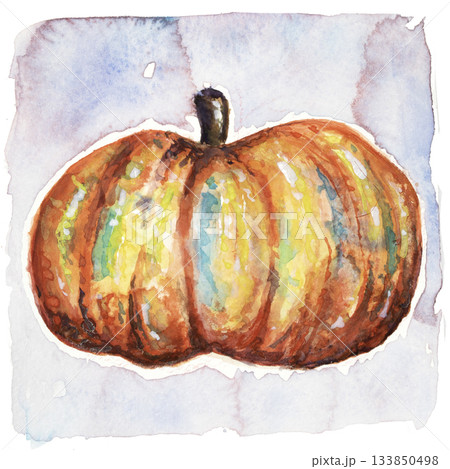 Beautiful Watercolour Pumpkin Squash Autumn Illustration Beautiful Watercolour Pumpkin Squash Autumn Illustration 133850498