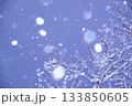 雪降る日 133850605