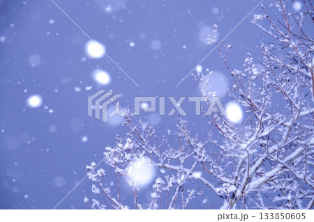 雪降る日 133850605