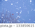 柿に降る雪 133850615