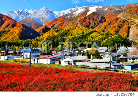 JR大糸線 飯森駅付近より白馬五竜スキー場方面を望む(長野県白馬村)【2025.11】 133850704