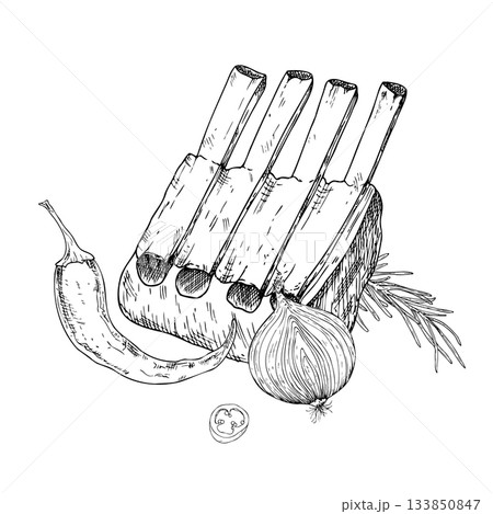 Vector composition with meat on the ribs with red pepper, onion, rosemary. Graphic ink pork or beef illustration, isolated on background. Hand drawn line sketch. For designers, prints, logo, icon 133850847