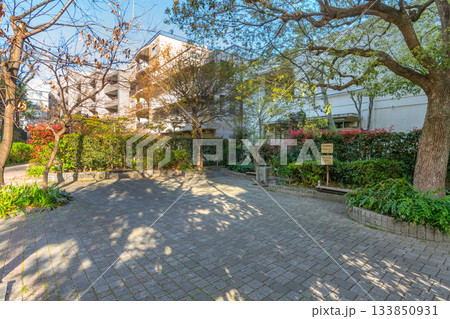 東京都目黒区下目黒の羅漢寺川ふれあい広場 133850931