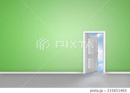 Digitally generated open door on green wall Digitally generated open door on green wall 133851463
