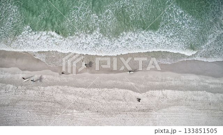 Blue ocean, Surfers on beach, Areal view Blue ocean, Surfers on beach, Areal view 133851505