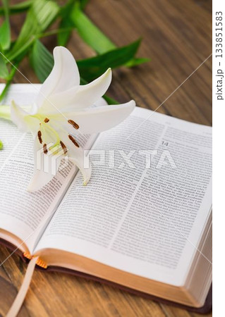 High angle view of white flower on open bible 133851583