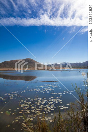 Calm lake water is reflecting lily pads, marsh grasses and rolling hills in flat design 133851624