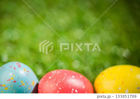 Easter eggs on grass in yard Easter eggs on grass in yard 133851709