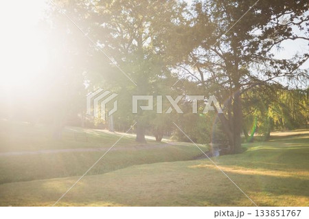 Flat design tree trunk is casting shadows in sunlit park, featuring stream, path and bench Flat design tree trunk is casting shadows in sunlit park, featuring stream, path and bench 133851767
