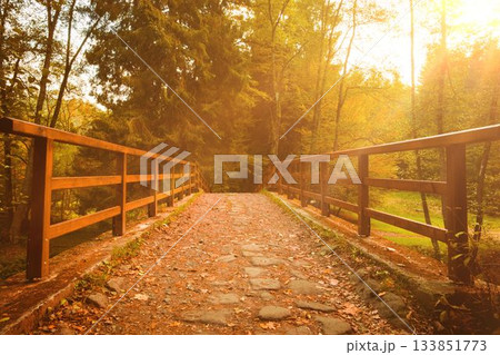 Wooden footbridge flat design illustration showing stone walkway and railings in autumn forest 133851773