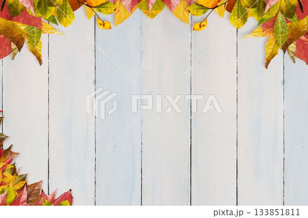 Whitewashed wooden planks are forming flat lay with scattered yellow and red autumn leaves border Whitewashed wooden planks are forming flat lay with scattered yellow and red autumn leaves border 133851811