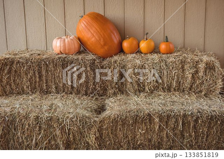 Flat illustration is showing stacked hay bales holding five pumpkins against wooden plank backdrop 133851819