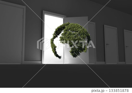 Topiary of globe against doors 133851878