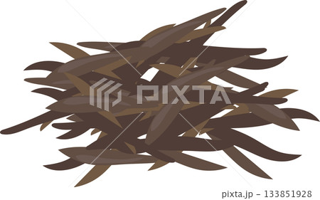 wood ear mushroom sliced for ramen topping in japanese food illustration 133851928