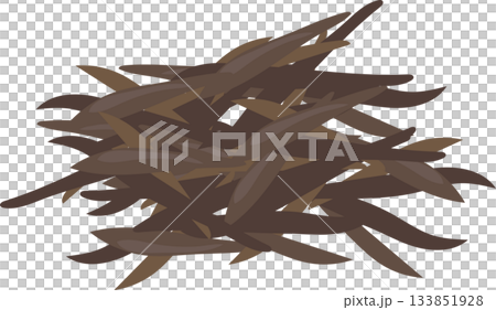 wood ear mushroom sliced for ramen topping in japanese food illustration 133851928