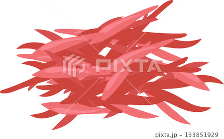 asian cuisine ingredient pink pickled ginger illustration for food 133851929